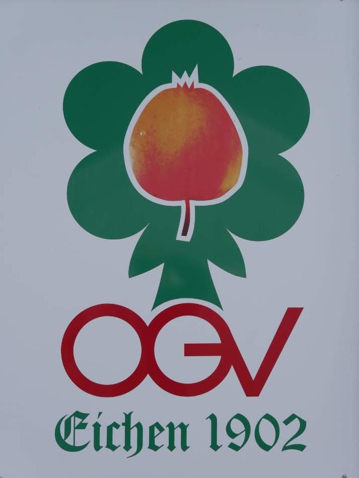 Main Kinzig Echo MKK Nachrichten Logo OGV Eichen 1902 rotated e1659427116522