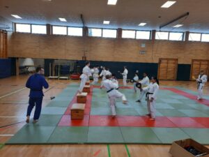 Mkk Echo Main Kinzig Kreis Zeitungtsv Rodenbach Taekwondo Lehrgang Bild 2