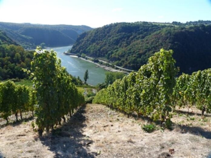 „Weintour“ für Maintaler Senior*innen