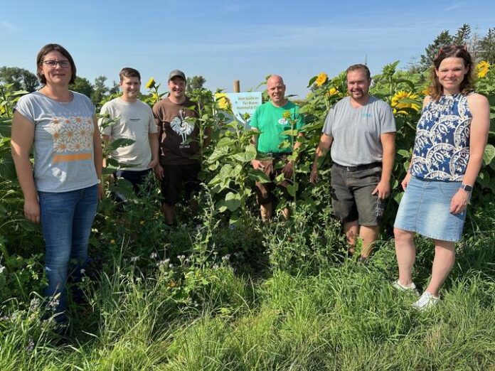 Bunte Blühstreifen erfreuen Insekten und Spaziergänger