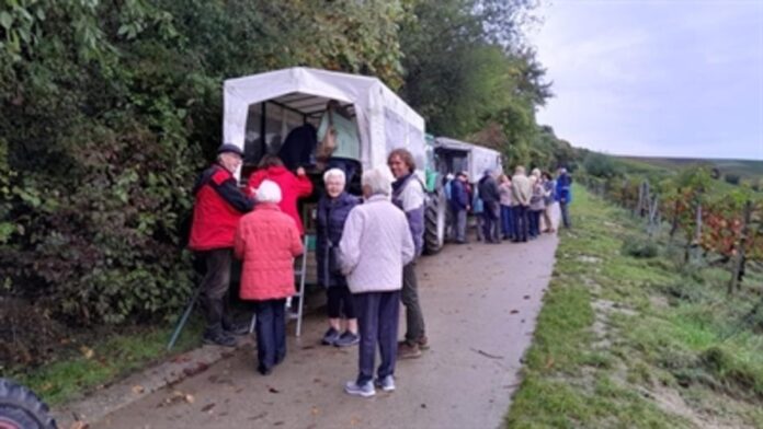 Mit 50 PS durch die Weinberge! Vierte Städtetour führt Maintaler Senior*innen nach Nierstein & Oppenheim