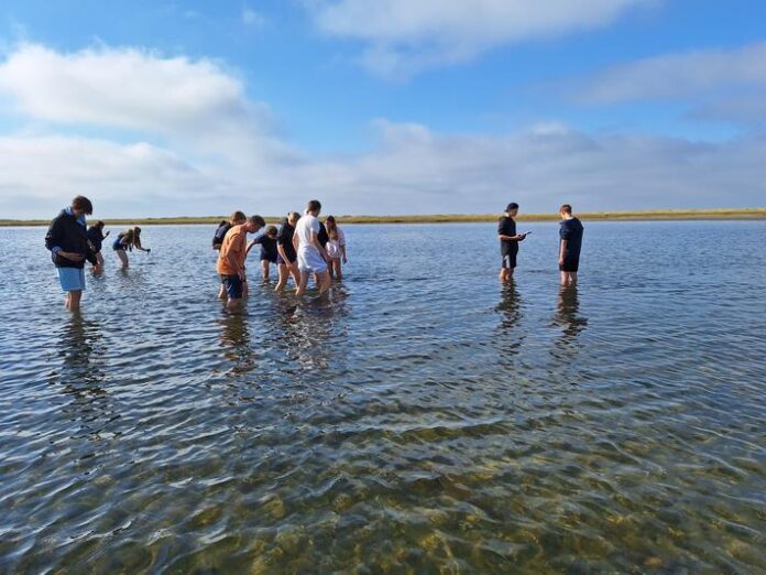 Eine Insel erforschen – Ökologie verstehen: Erasmus+ Projekt auf der dänischen Ostseeinsel Læsø