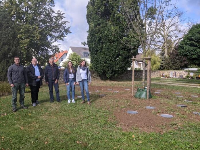 Auf drei Friedhöfen sind nun Baumgräber vorhanden - In Niederissigheim, Oberissigheim und am neuen Friedhof