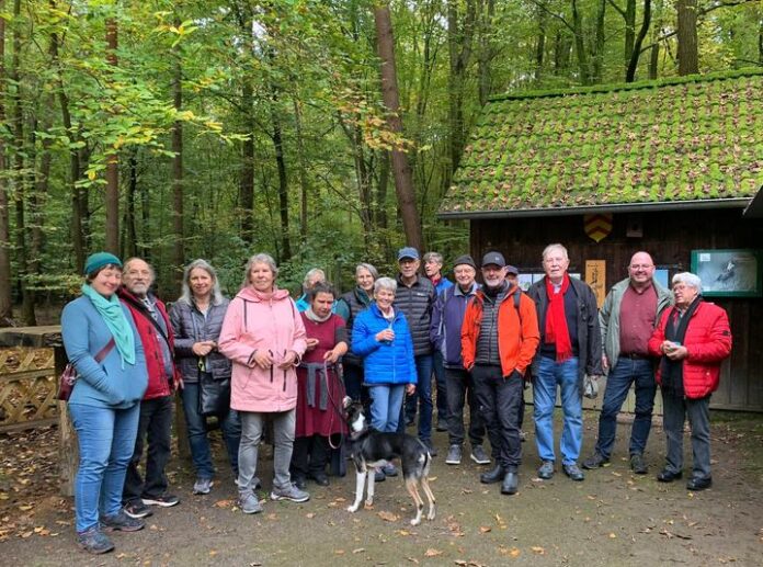 World Wood Web, Baumstammtelefon und viel Wissenswertes – lehrreiche Herbstwanderung mit dem zertifizierten Waldführer Torsten Homuth