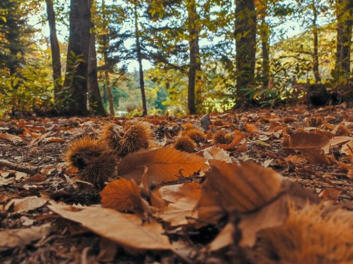 Wanderung im Spessart