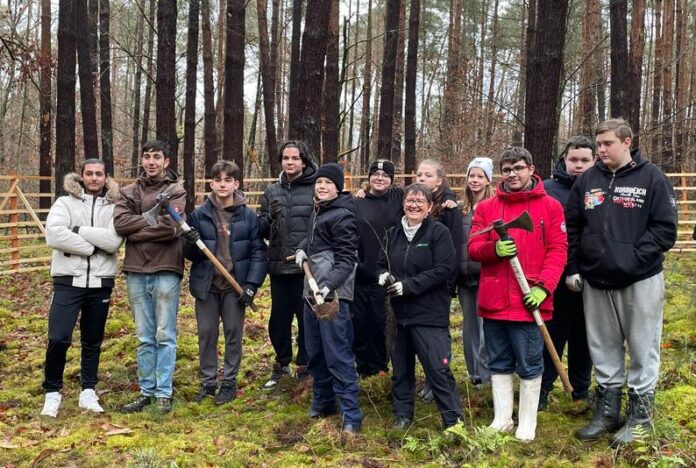 Erfolgreiches Aufforstungsprojekt im Rodenbacher Wald