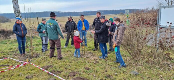 Schnittkurse für junge Baumpaten und erfahrene „Oldies“ der ObstbaumpflegerErfolgreicher Auftritt des OGV Eichen mit dem neuen 'Adventsstübchen‘