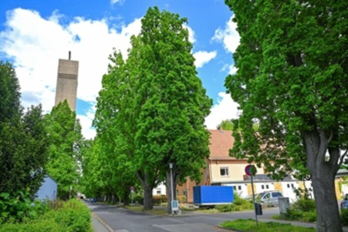 Schutz für Spielplätze, Schulen und Kitas
