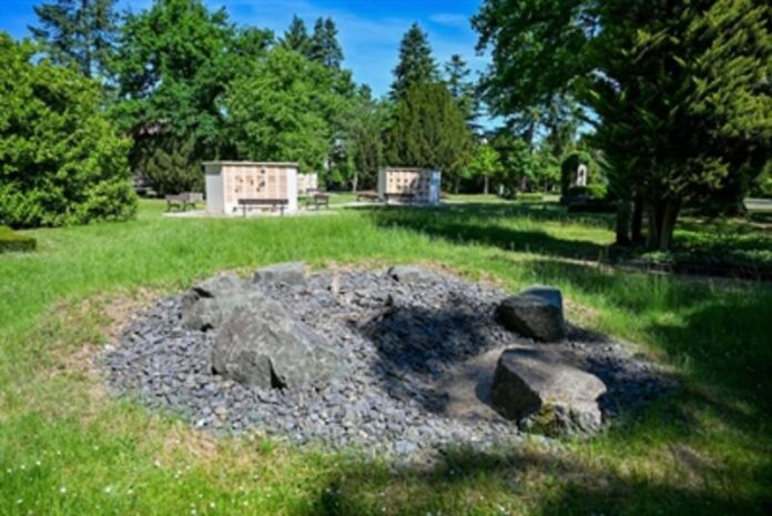 Neues Zuhause für Mauereidechsen auf dem Hauptfriedhof