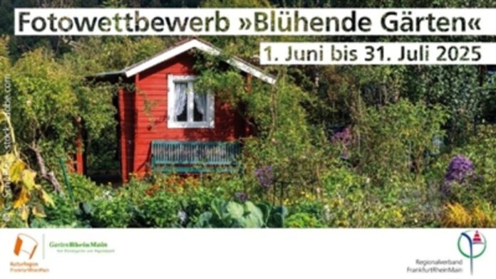 Stadt Hanau ruft zur Teilnahme am Fotowettbewerb „Blühende Gärten“ auf