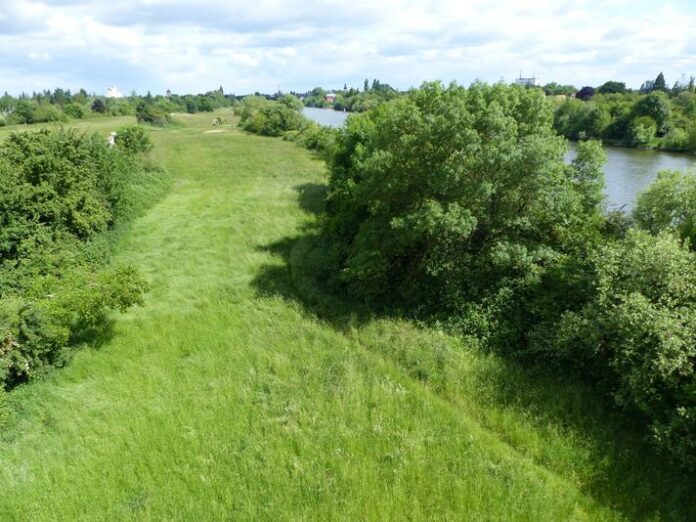 RP erneuert Verordnung für Landschaftsschutzgebiet „Hessische Mainauen“