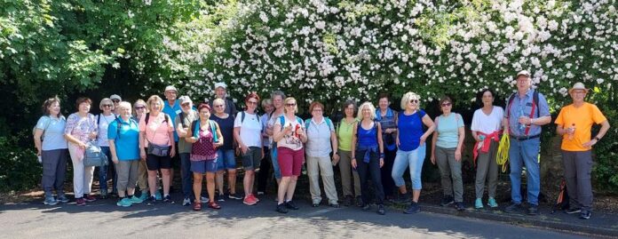 Wandervögel des SKV Büdesheim trotzen den schlechten Wetterprognosen