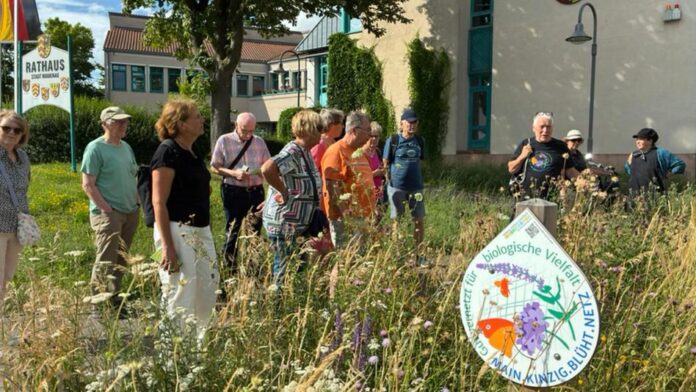 Biodiversität im Fokus: Erfolgreiche Blühflächentour mit Bernhard Hildebrand in Nidderau