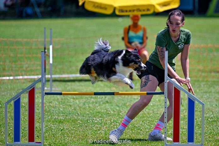 Turnierbericht – Letzter Qualifikationslauf der Region Hessen zum Finale der Deutschen Vereinsmeisterschaft 2025