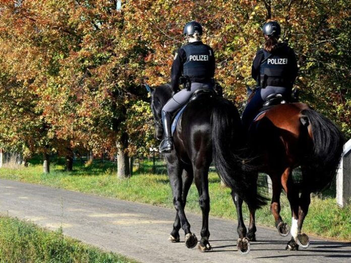 Reiterstaffel auf Wald- und Feldwegen unterwegs