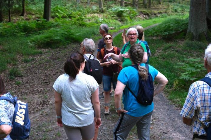 „Abseits“ beim Wandern - Spessartbund-Ortsgruppe veranstaltete erste Feierabendwanderung