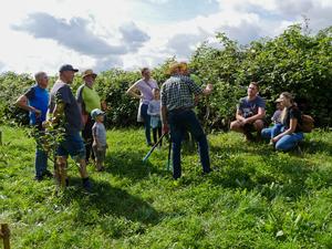 pm ogv eichen nidderau sommerschnittkurs 2025 bild 1 393fa6f2f7cf9d4dc629cfdfd4cd8716