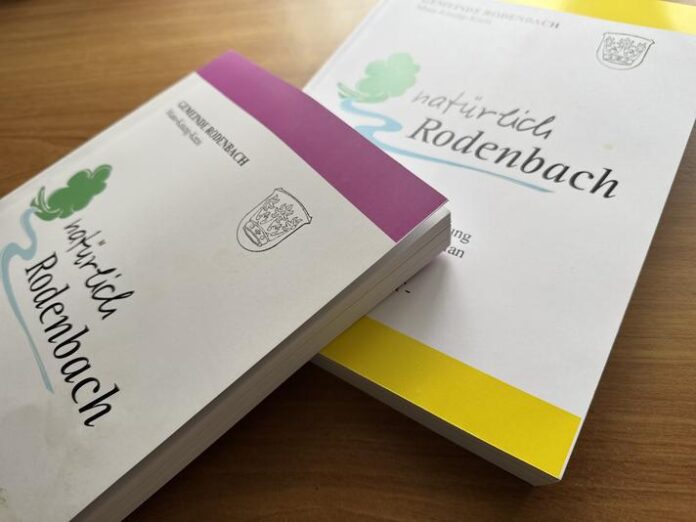 Welchen Weg nahmen Rodenbachs Haushaltsdokumente?