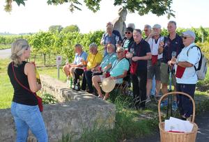 04b 2025 gruppe weinprobe sommerach 4e4b88af31810d0d805d97af315b8dd1