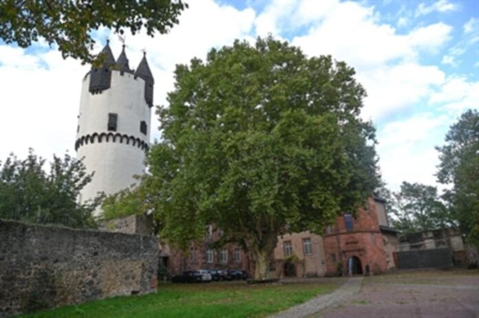 Museum Schloss Steinheim: Finissage-Monat zur Ausstellung „Prinz Georgs Gartentraum“