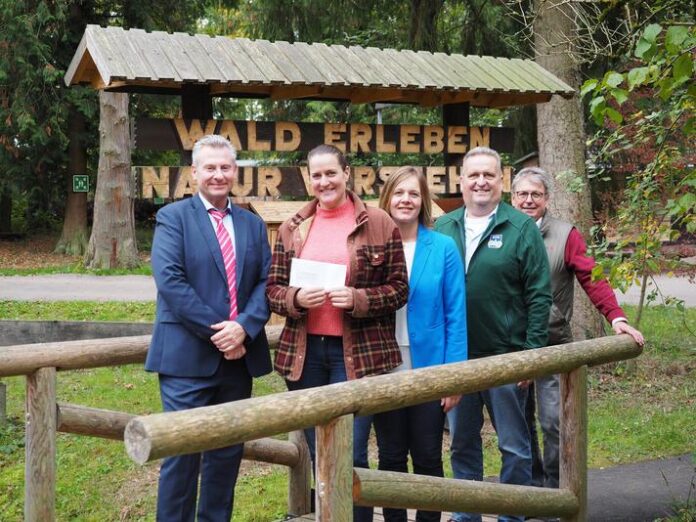 Lernen, wo andere im Wald spazierengehen