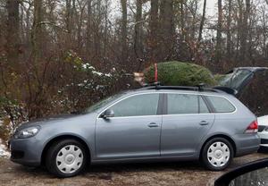 03 pm weihnachtsbaeumetransport dachtraeger 526c1cfa37da958b2d6f02c9fbb31f5a