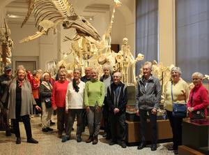 04 da rosen 1617aefc2a96c37bd9b2693d84c1c126