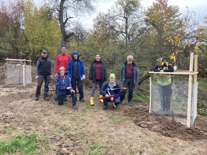 Gemeinsam Zukunft pflanzen