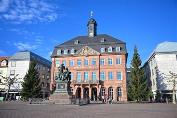 Hanauer Weihnachtsbäume „Brüderchen“ und „Schwesterchen“ schmücken den Marktplatz