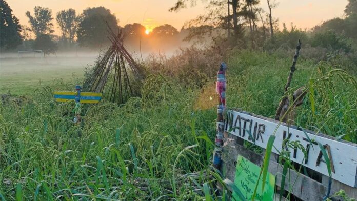 Vier Träger des Umweltpreises 2025