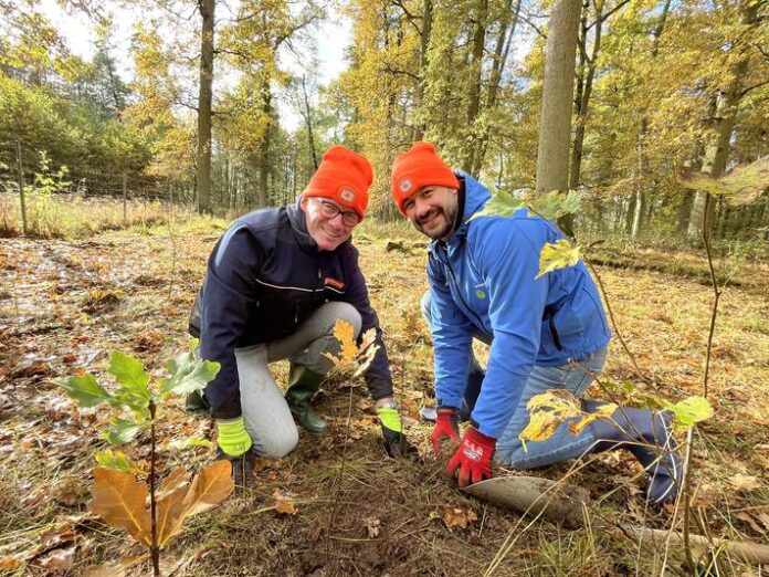 400 junge Eichen für die Kinzigaue
