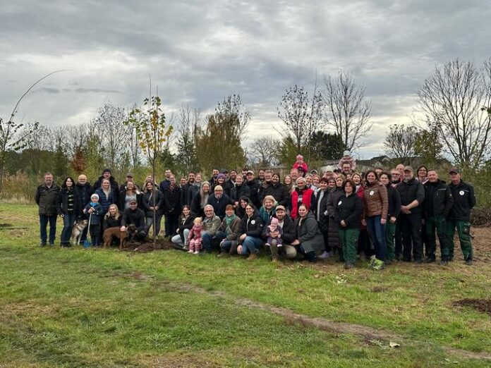 50 Bäume für Hochzeitspaare und fürs Stadtrechtejubiläum