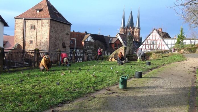 People for Future starten Projekt im Stadtgarten Gelnhausen