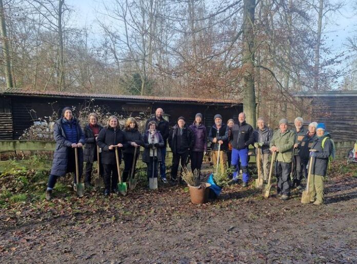 Gemeinsam für den Wald: Baumpflanzaktion im FFH-Gebiet bei Schöneck