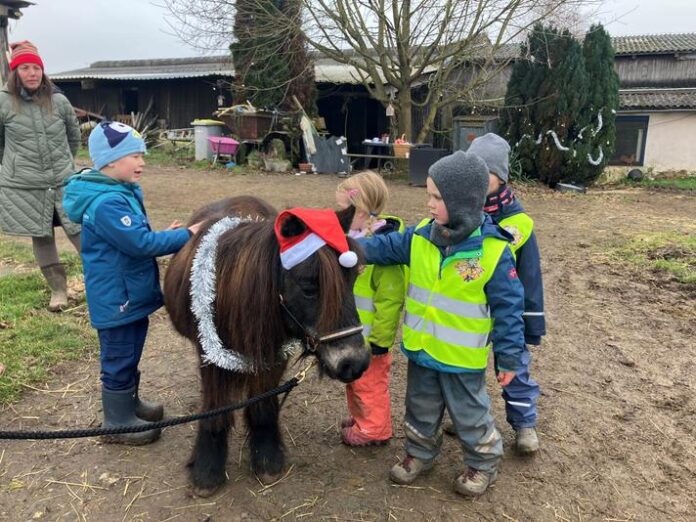 Feldhasen feierten Nikolaus auf dem Pferdehof