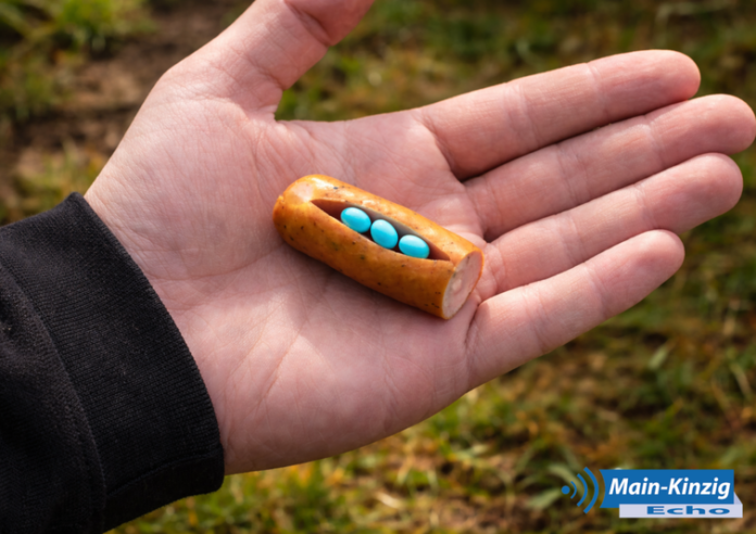 Verdacht ausgelegter Giftköder in Wächtersbach: Hund in Behandlung