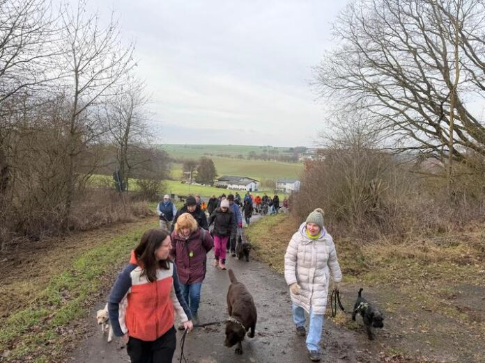 Vereinswanderung des Hundesportvereins Nidderau Erbstadt e. V. zum Start in das Jahr 2026