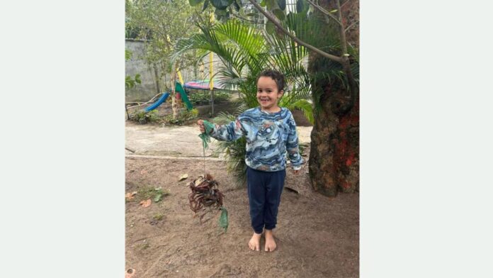 Achtjähriger Junge in Frankfurt vermisst – Polizei bittet um Hinweise