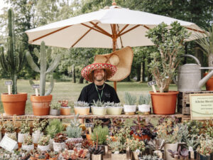 0014gartenfest sukkulenten 118859149614b6bfa329b968fe8ee808 mkk