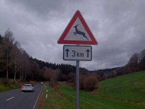 01 wildwechsel aca75c67b1943018dfd21e57bd24e24e mkk