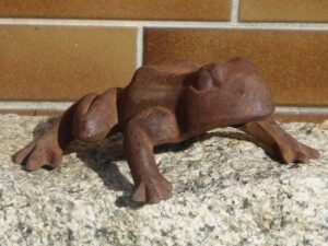 02 kroete frosch 5249ddd4d73d96ba20c23be3725a5ed4 mkk