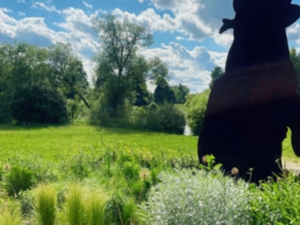 04 zugplakette 2026 marstall.pdf 16 49eb6aab7d0c6a4b4eb827ef30400d36 mkk