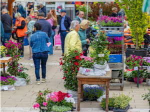 04 zugplakette 2026 marstall.pdf 3b1c2dc29a6ecdf3430feed5f43397e7 mkk