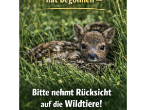 04 zugplakette 2026 marstall.pdf 5 b1291ef89c356c9fe3c4cd79ec3909f2 mkk 04 zugplakette 2026 marstall.pdf 5 b1291ef89c356c9fe3c4cd79ec3909f2 mkk