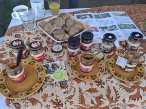 06 fair fruehstuecken 70cb732b1b373e4dea243e103ffa8368 mkk 06 fair fruehstuecken 70cb732b1b373e4dea243e103ffa8368 mkk