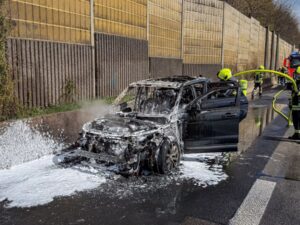 2026 03 30 pkw brand a66 6 8511ecbb1e5cf27e0c944d08fda34ccc mkk 2026 03 30 pkw brand a66 6 8511ecbb1e5cf27e0c944d08fda34ccc mkk