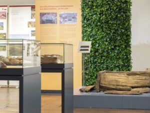 313383v ee7e1077c8e7c3e40db6ccf8c9427d1a mkk