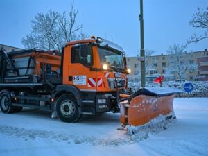 313495v 5c22216ba66aa9667a6b3b80a2594c60 mkk