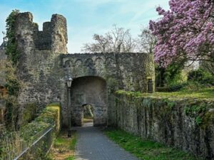 316815v bcc063140ec1c86ca0762d72784c0252 mkk