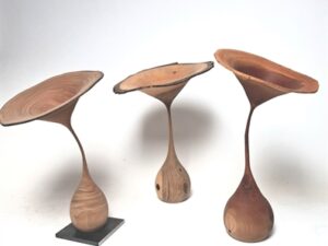 316847v b294925cc09727a18e215413b72ac4c5 mkk